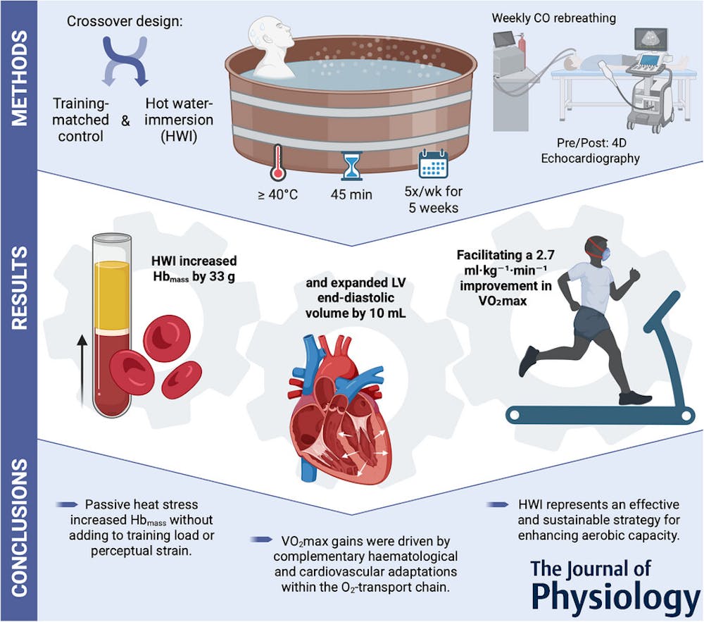 Αύξηση αιματοκρίτη, αιμοσφαιρίνης και VO₂max από το...μπάνιο σου! Νέα μελέτη «Game Changer» για όλους τους δρομείς runbeat.gr 
